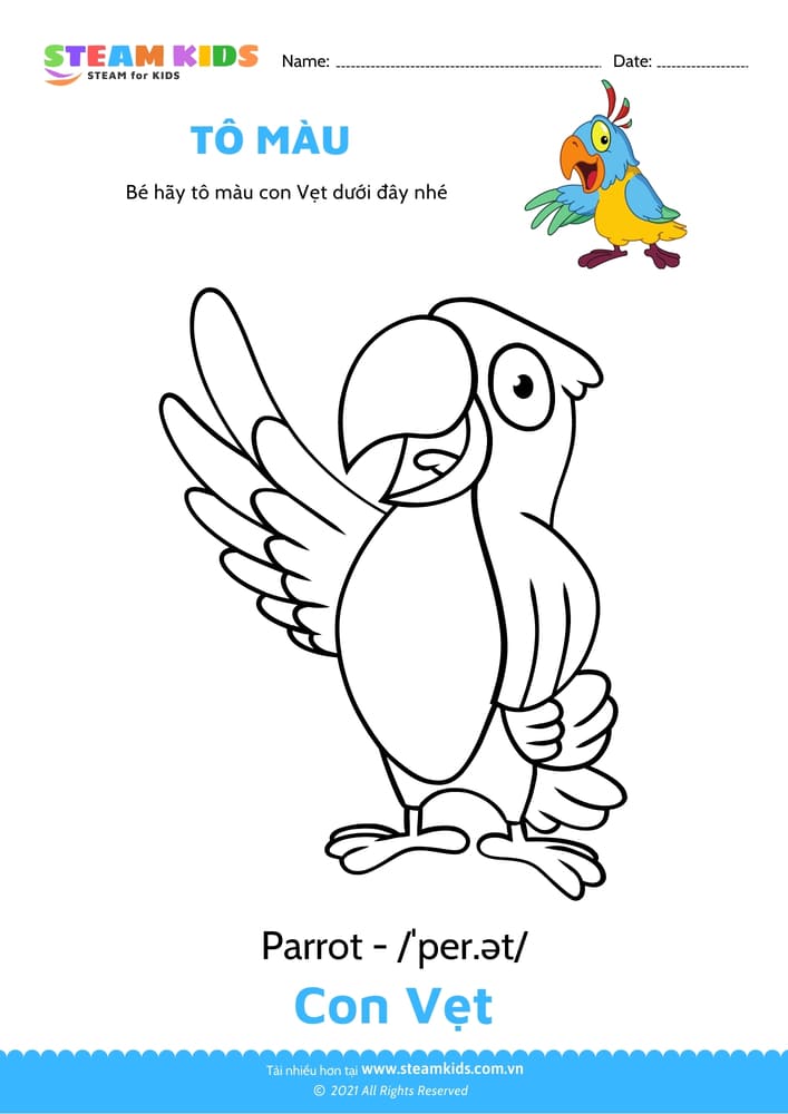 Bài tập Tô màu - Tô màu Con vẹt