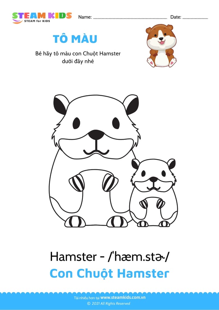 Bài tập Tô màu - Tô màu Con chuột Hamster