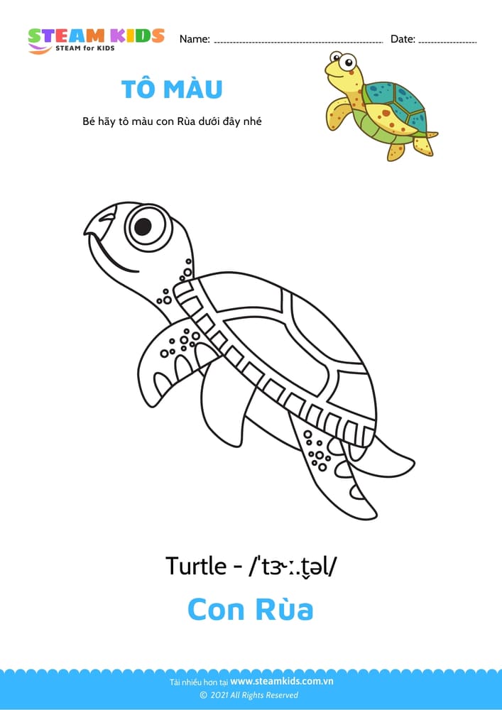 Bài tập Tô màu - Tô màu Con rùa