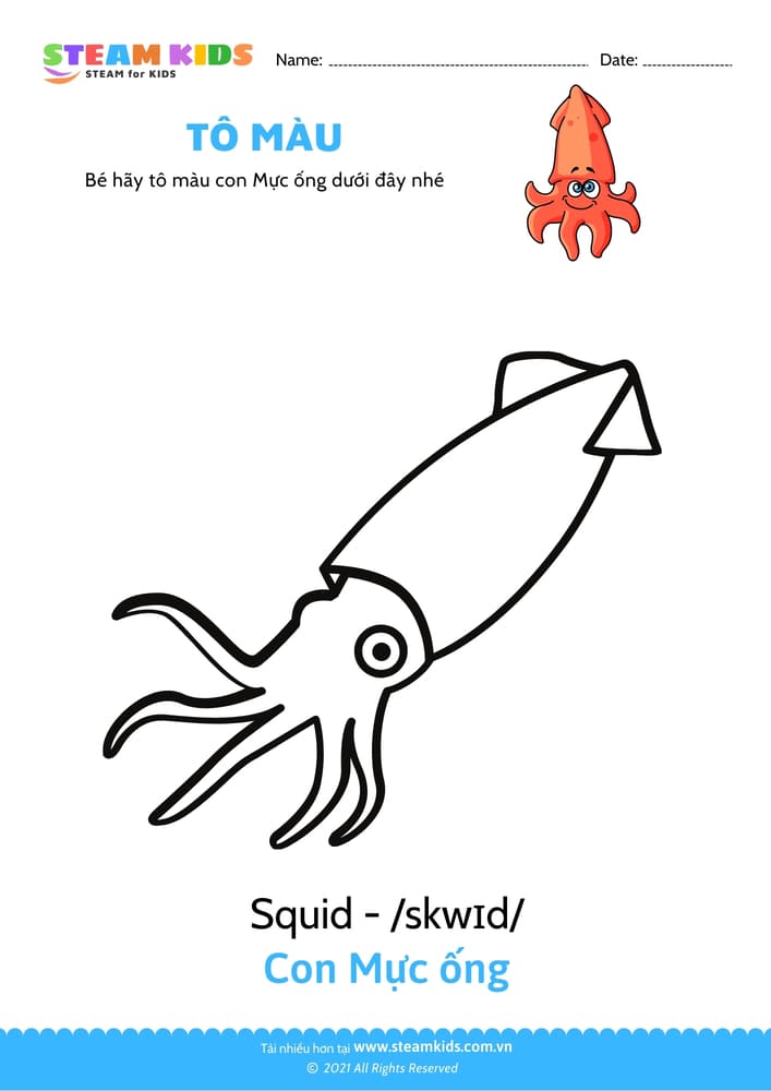 Bài tập Tô màu - Tô màu con Mực ống
