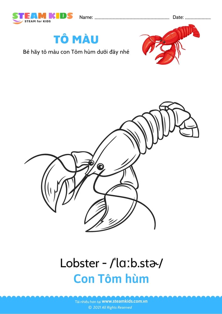 Bài tập Tô màu - Tô màu con Tôm hùm