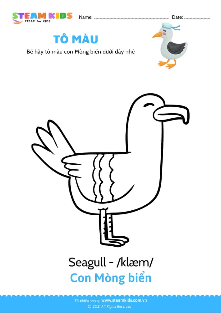 Bài tập Tô màu - Tô màu con Mòng biển