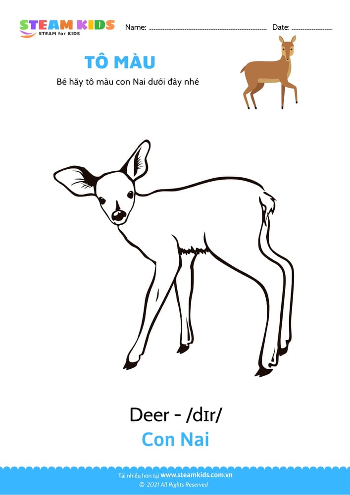 Bài tập Tô màu - Tô màu Con nai