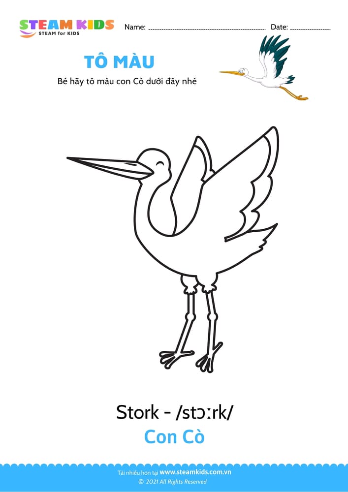 Bài tập Tô màu - Tô màu Con cò