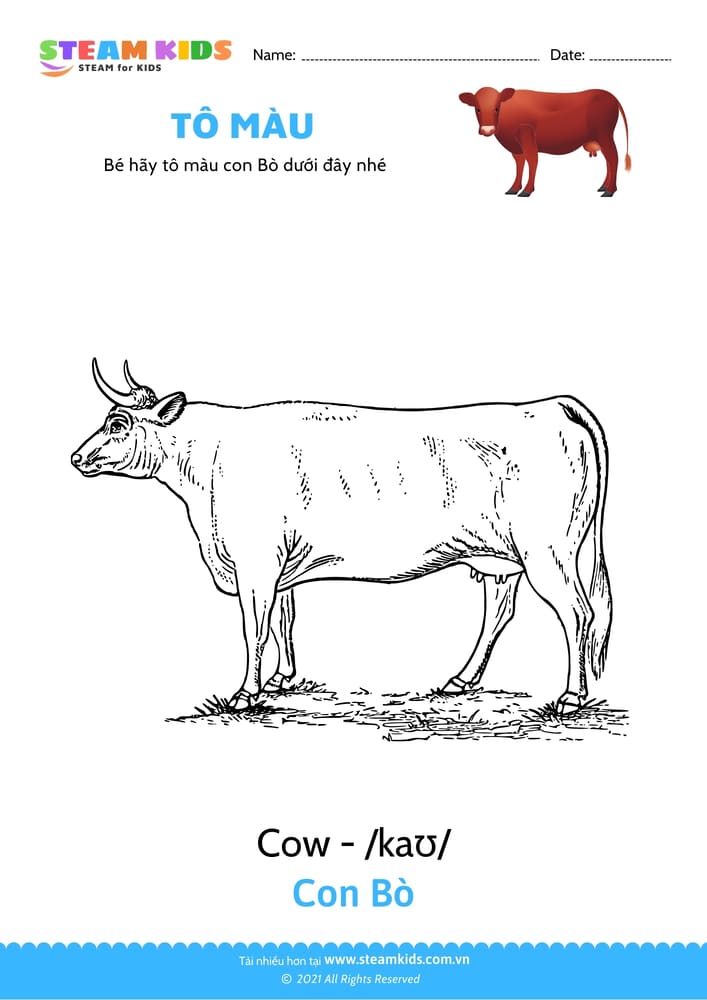 Bài tập Tô màu - Tô màu Con bò 2