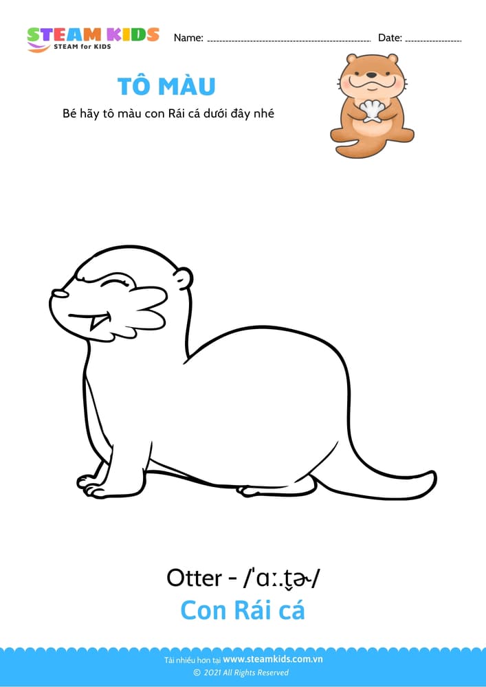 Bài tập Tô màu - Tô màu Con rái cá