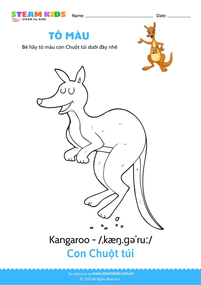 Bài tập Tô màu - Tô màu Con chuột túi