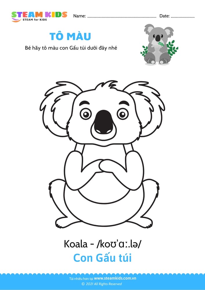 Bài tập Tô màu - Tô màu Gấu túi