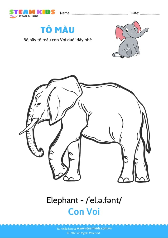 Bài tập Tô màu - Tô màu Con voi
