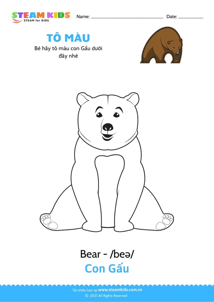 Bài tập Tô màu - Tô màu Con gấu