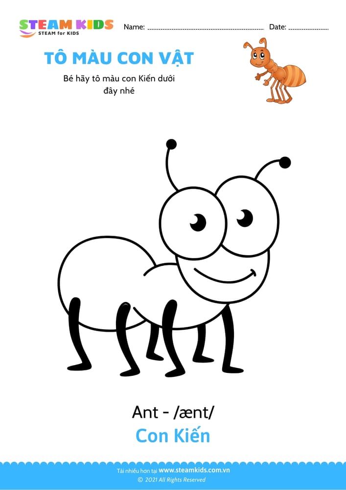 Bài tập Tô màu - Tô màu Con kiến