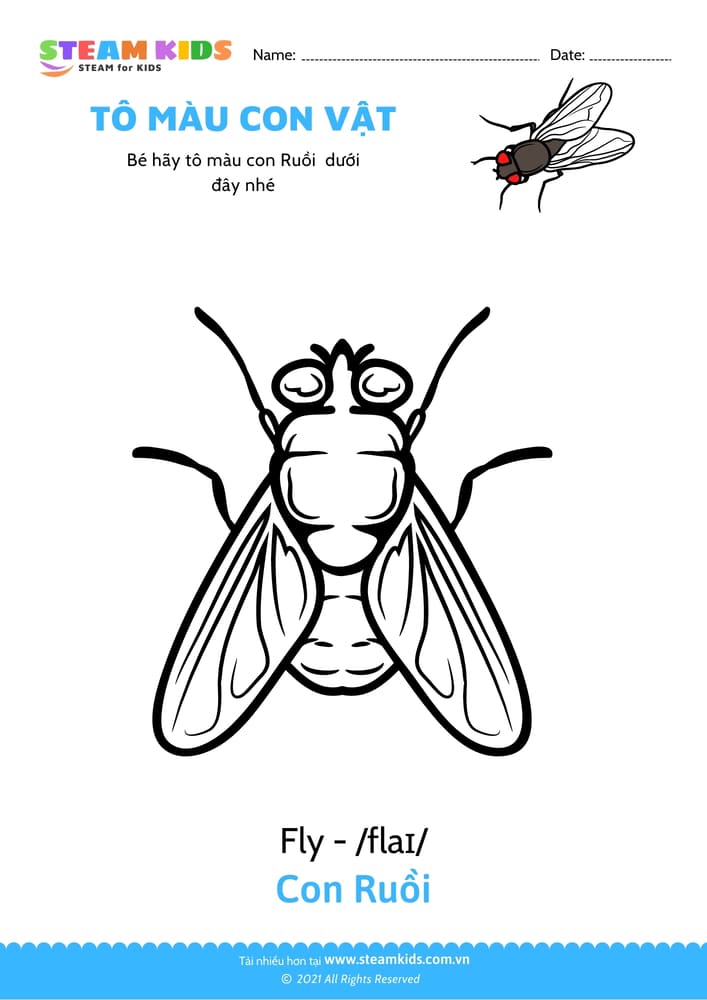 Bài tập Tô màu - Tô màu Con ruồi