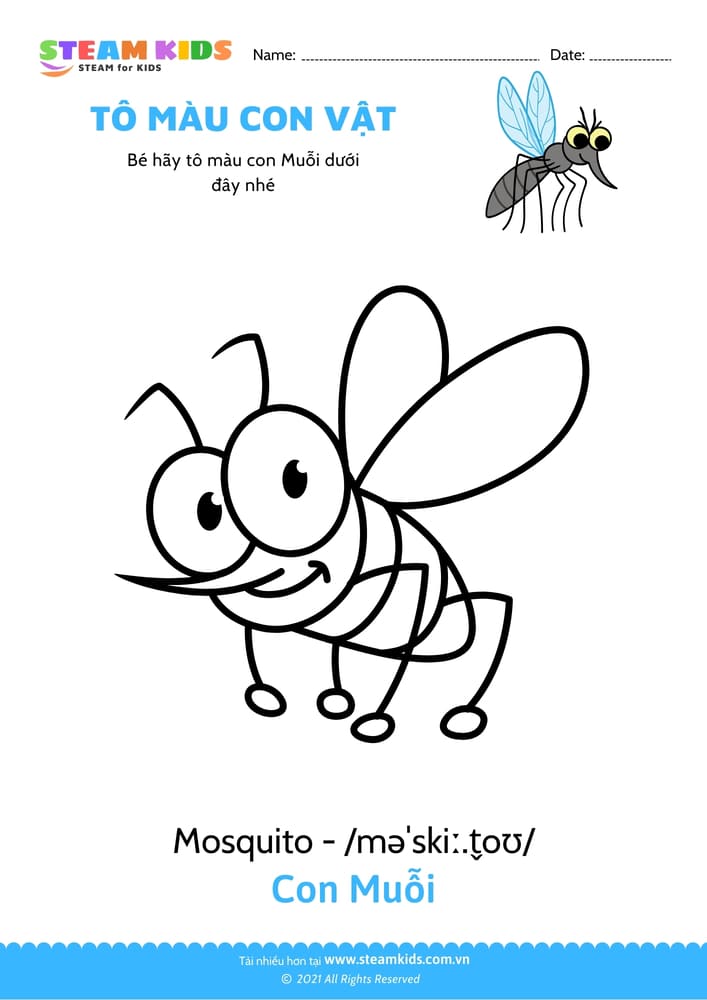Bài tập Tô màu - Tô màu Con Muỗi