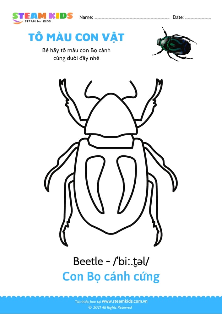 Bài tập Tô màu - Tô màu Con Bọ cánh cứng