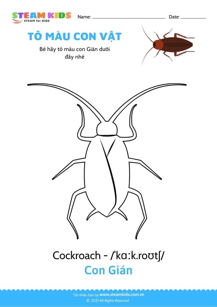 Bài tập Tô màu - Tô màu Con gián