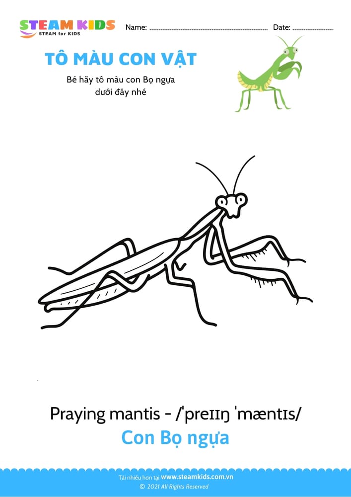 Bài tập Tô màu - Tô màu Con Bọ ngựa