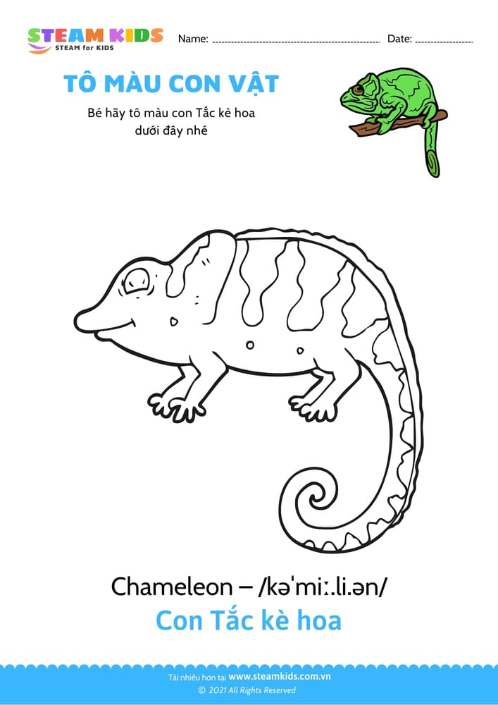 Bài tập Tô màu - Tô màu Con Tắc kè hoa