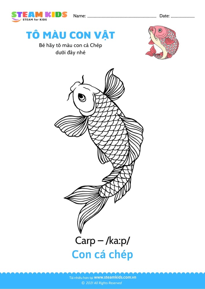 Bài tập Tô màu - Tô màu Con Cá chép