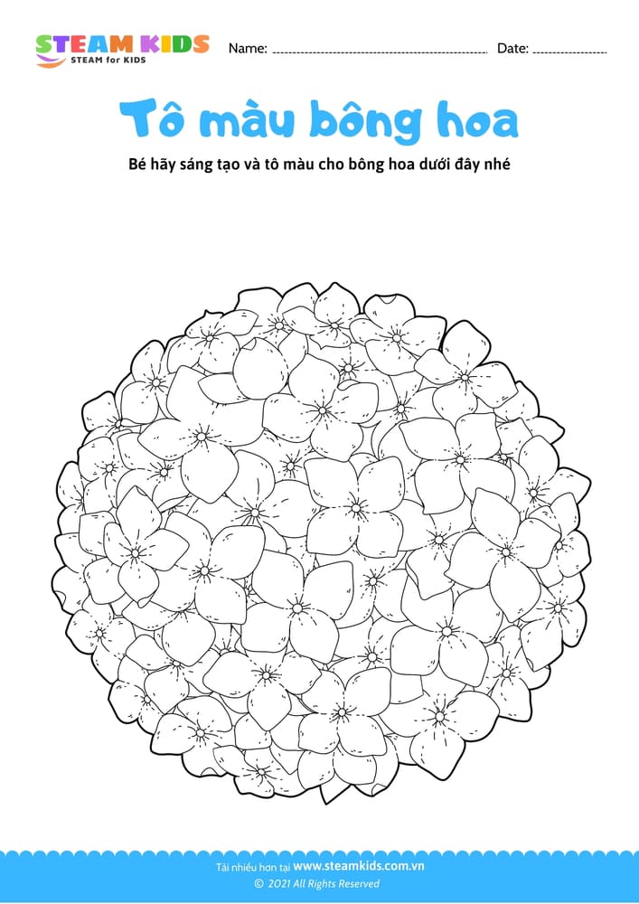 Bài tập Tô màu - Tô màu bông hoa - B4