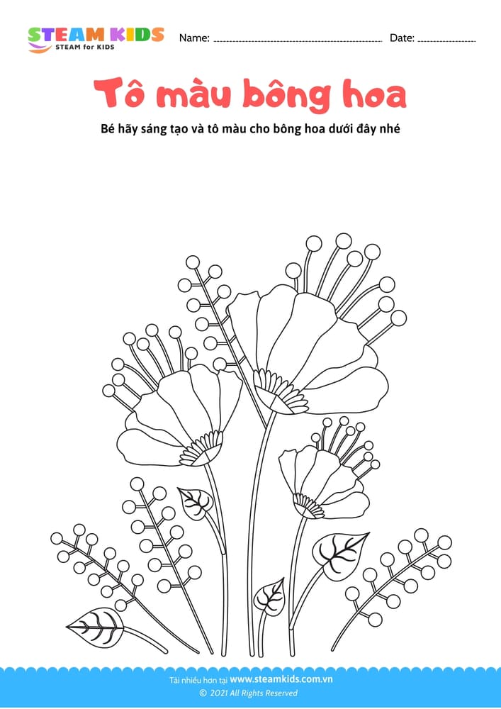 Bài tập Tô màu - Tô màu bông hoa - B5