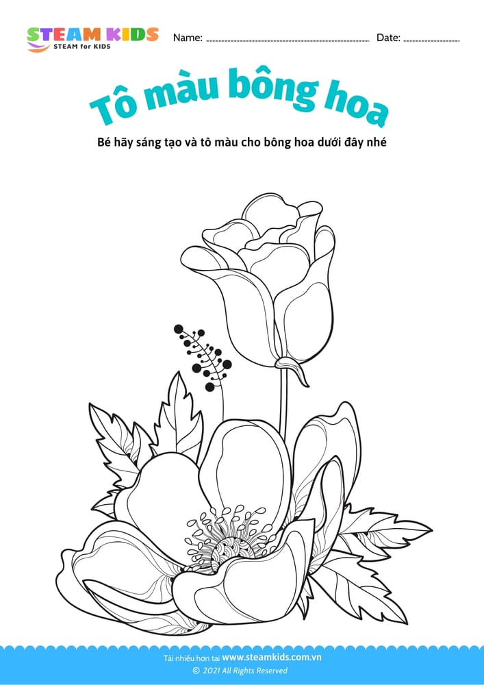 Bài tập Tô màu - Tô màu bông hoa - B19