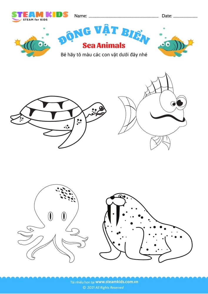 Bài tập Tô màu - Tô màu động vật - B9