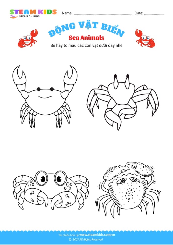 Bài tập Tô màu - Tô màu động vật - B11