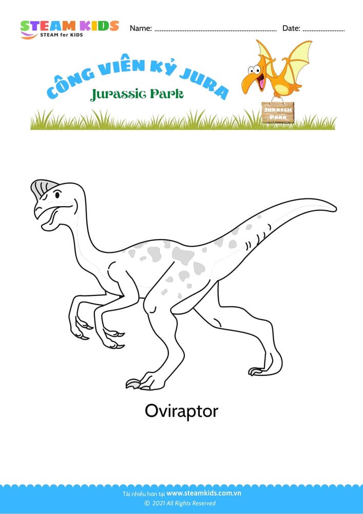 Bài tập Tô màu - Tô màu khủng long - B11