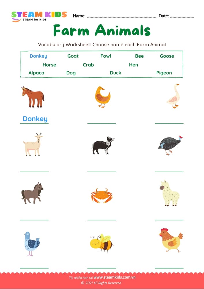 Bài tập tiếng anh - Choose name Farm Animals - B1