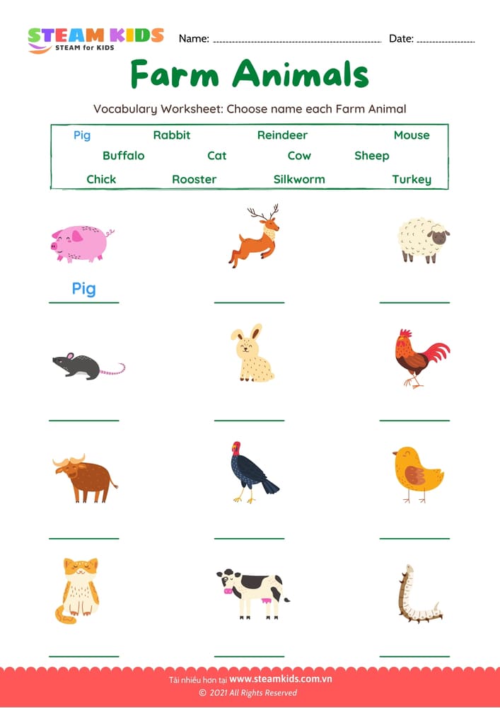 Bài tập tiếng anh - Choose name Farm Animals