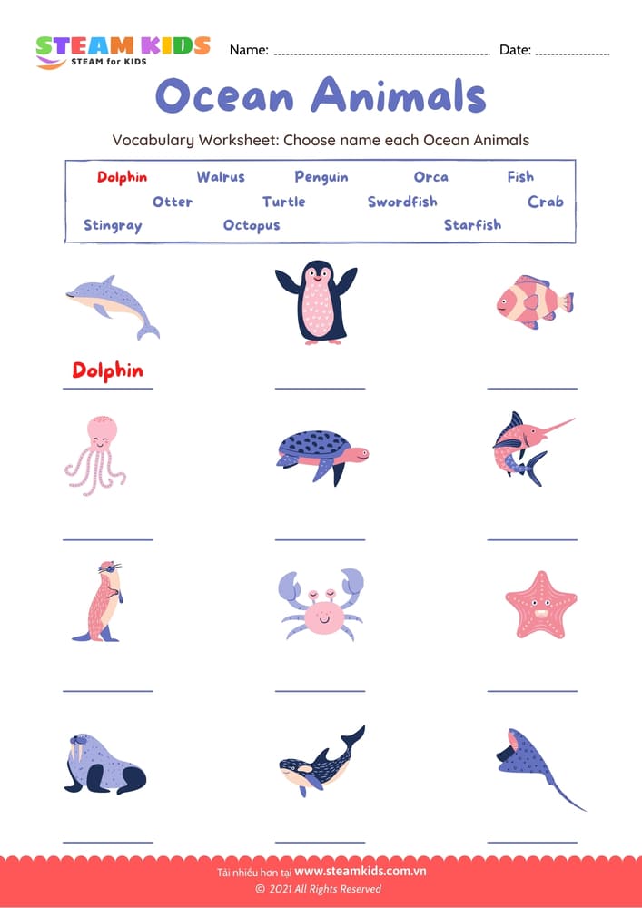 Bài tập tiếng anh - Choose name Ocean Animals - B1
