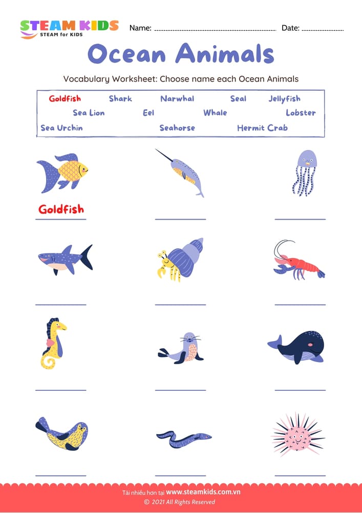 Bài tập tiếng anh - Choose name Ocean Animals