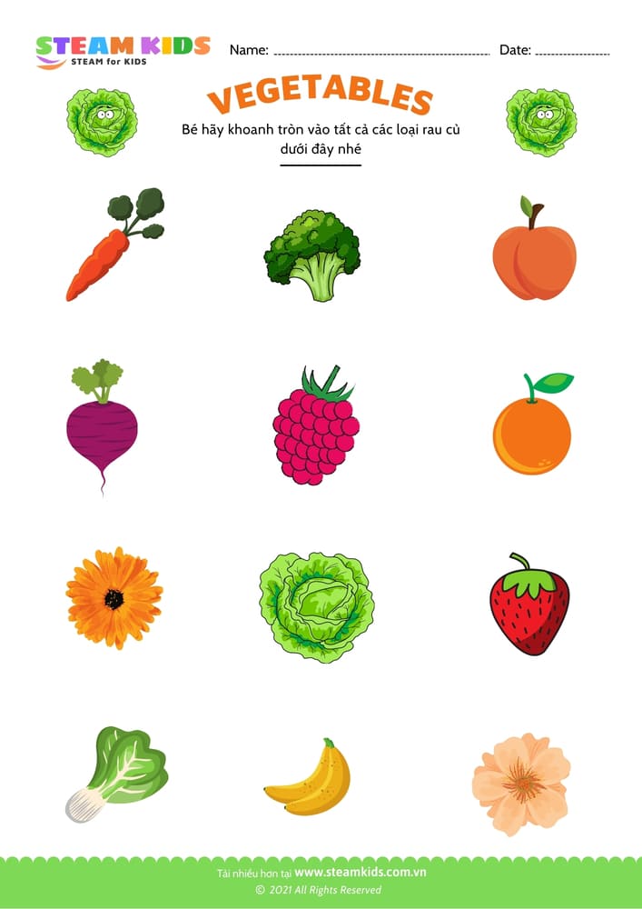 Bài tập khoa học - Nhận biết rau củ - B1