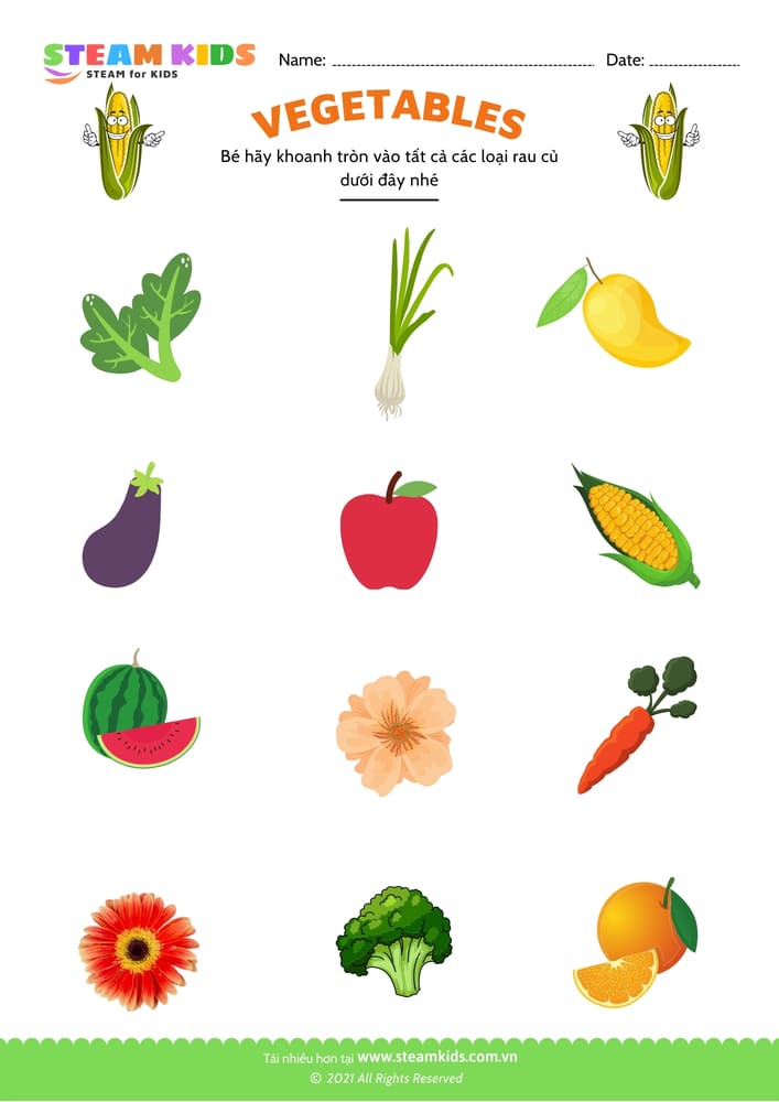 Bài tập khoa học - Nhận biết rau củ - B2