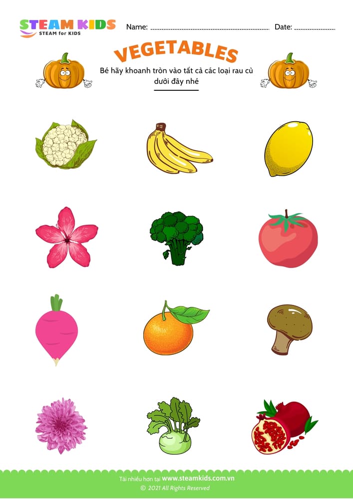 Bài tập khoa học - Nhận biết rau củ - B3