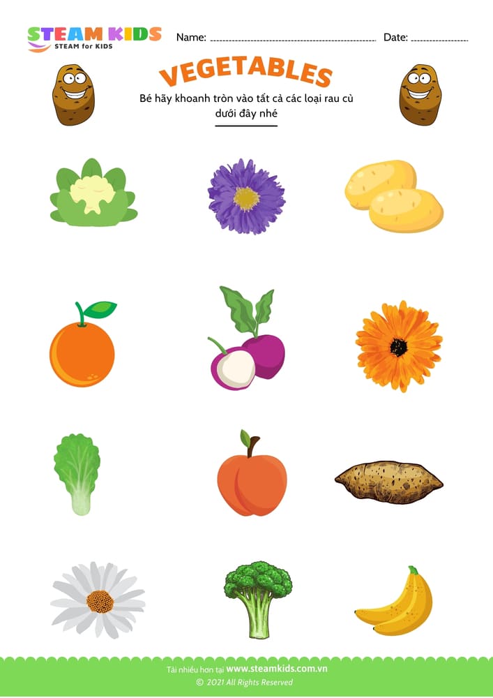 Bài tập khoa học - Nhận biết rau củ - B5