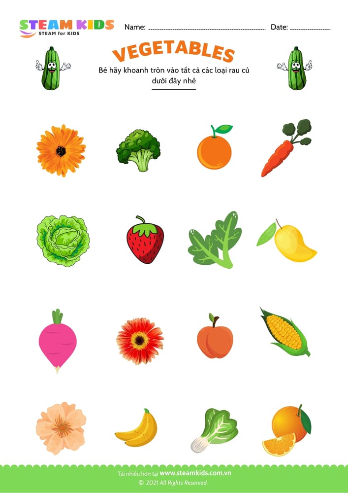 Bài tập khoa học - Nhận biết rau củ - B6