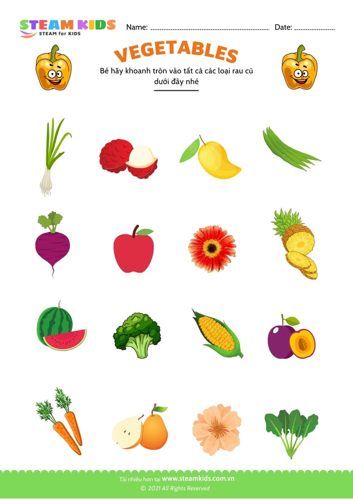 Bài tập khoa học - Nhận biết rau củ - B7