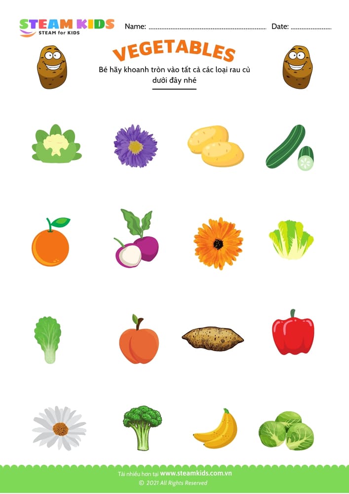 Bài tập khoa học - Nhận biết rau củ - B10