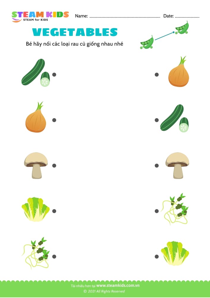 Bài tập khoa học - Tìm cặp giống nhau - B5