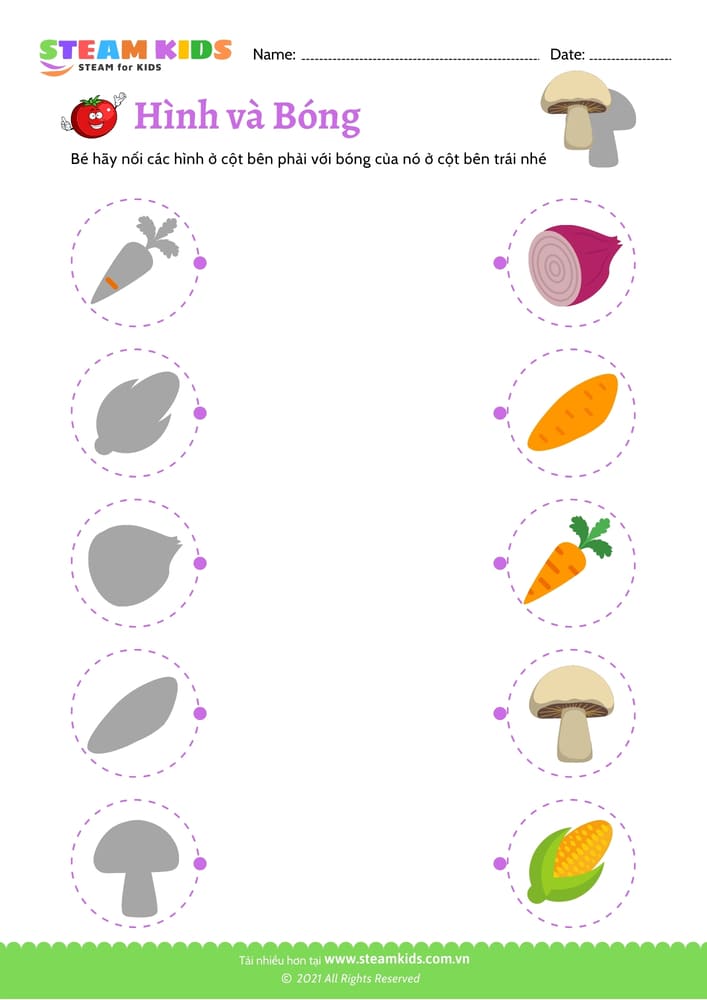 Bài tập khoa học - Nhận dạng rau củ - B2