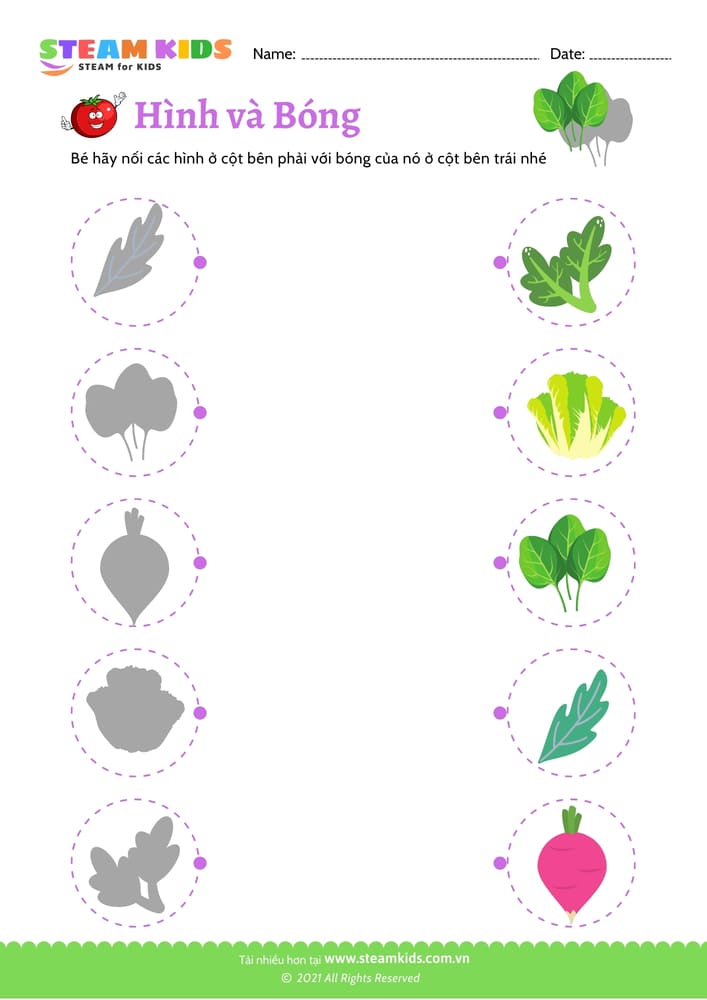 Bài tập khoa học - Nhận dạng rau củ - B3