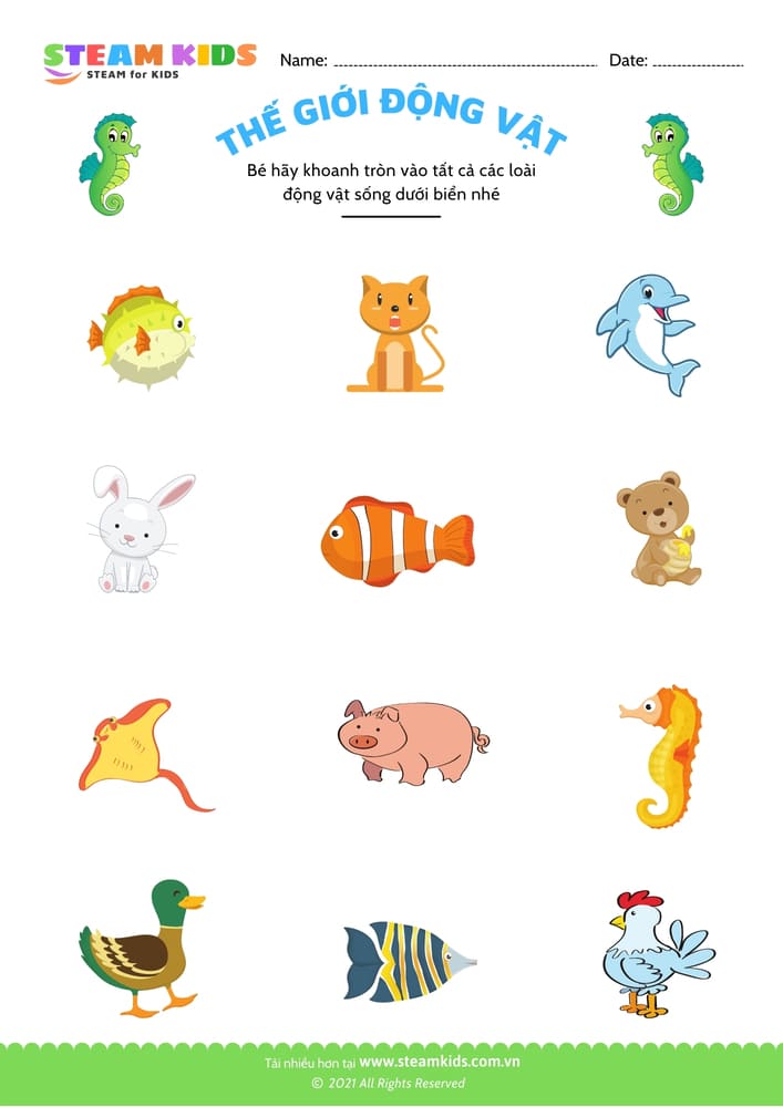 Bài tập khoa học - Nhận biết con vật - B2