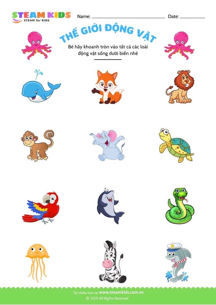 Bài tập khoa học - Nhận biết con vật - B3