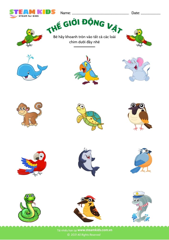 Bài tập khoa học - Nhận biết con vật - B7