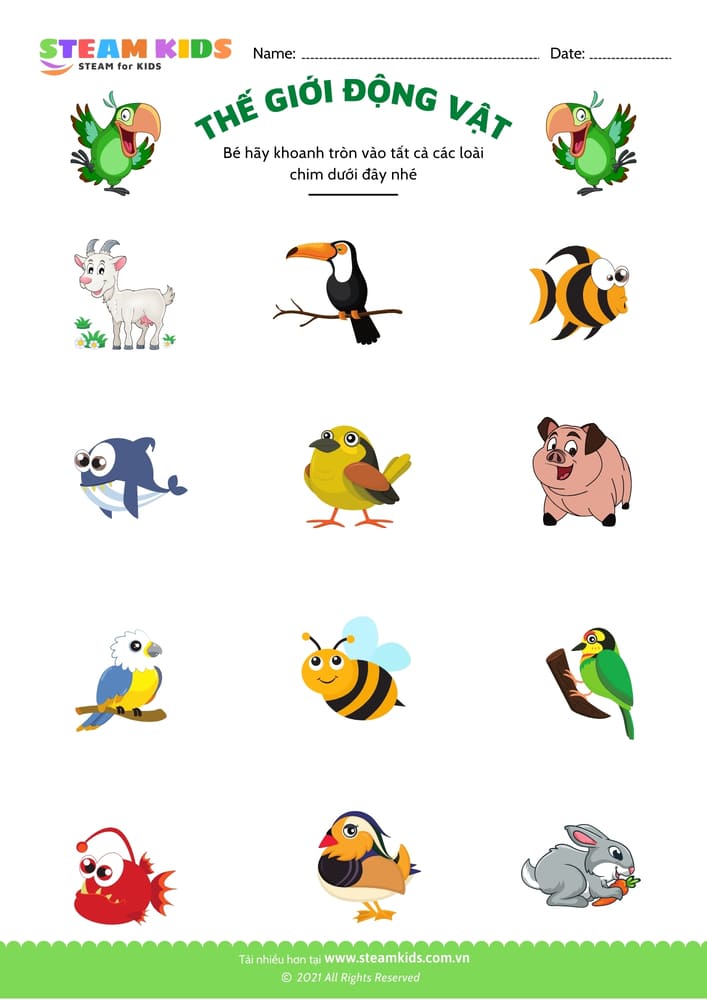 Bài tập khoa học - Nhận biết con vật - B8