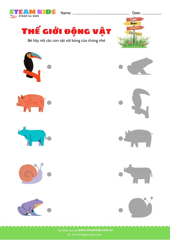 Bài tập khoa học - Nhận dạng con vật - B3