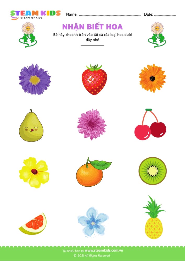 Bài tập khoa học - Nhận biết hoa - B1