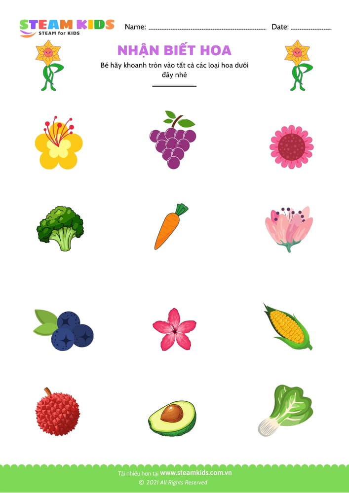 Bài tập khoa học - Nhận biết hoa - B2