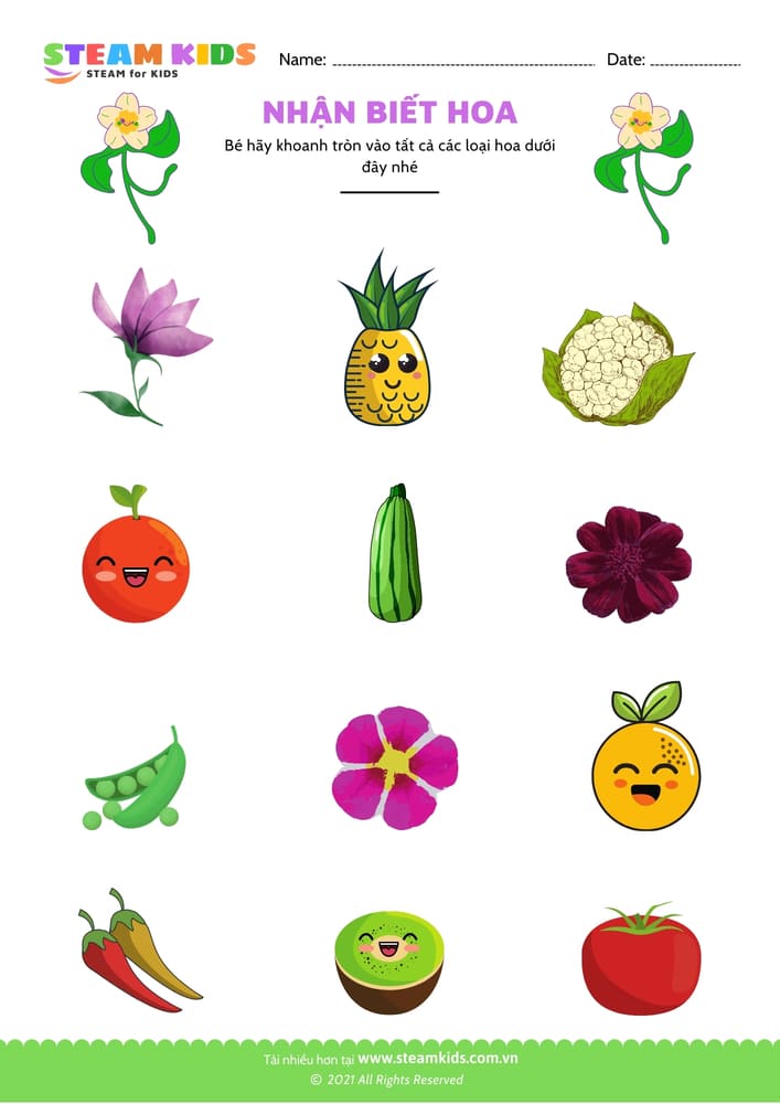 Bài tập khoa học - Nhận biết hoa - B3